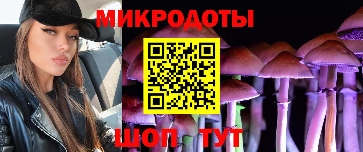 Галлюциногенные грибы прущие грибы  Вход с VPN  Ставрополь 