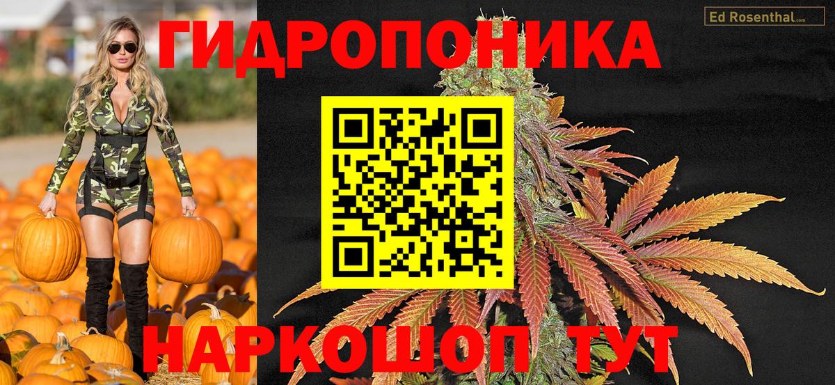Шишки марихуана AK-47 Ставрополь